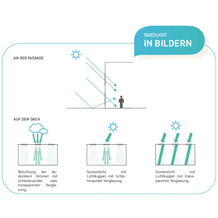 TAGESLICHT IN BILDERN